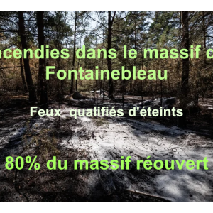 https://boissettes.fr/sites/boissettes.fr/files/styles/300x300/public/media/images/feux-de-fontainebleau-eteints.png?itok=kLwWLurV