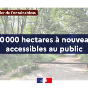 https://boissettes.fr/sites/boissettes.fr/files/styles/300x300/public/media/images/fontainebleau-20-000-hectares-a-nouveau-accessibles_large.jpg?itok=_scWGJEE