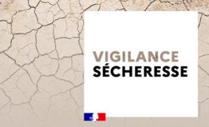 Agrandir l’image