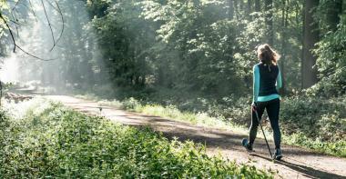 Personne qui marche en forêt