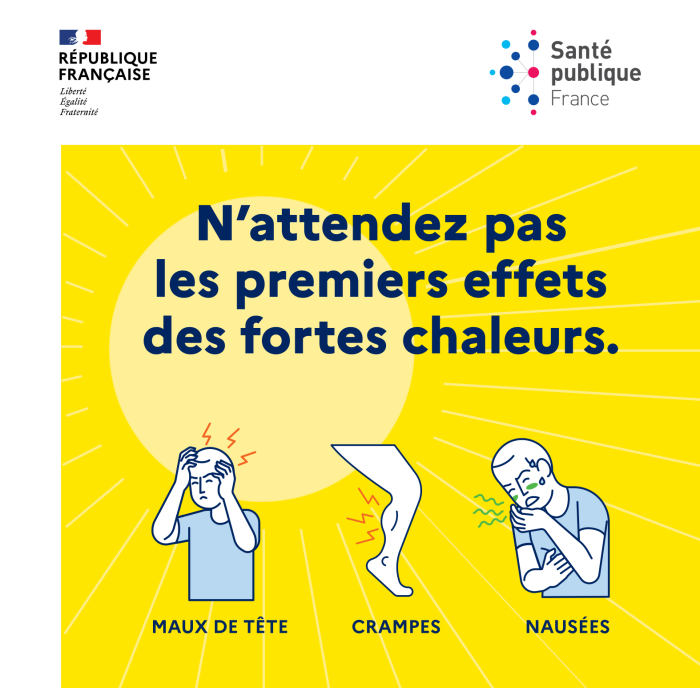 Agrandir l’image
